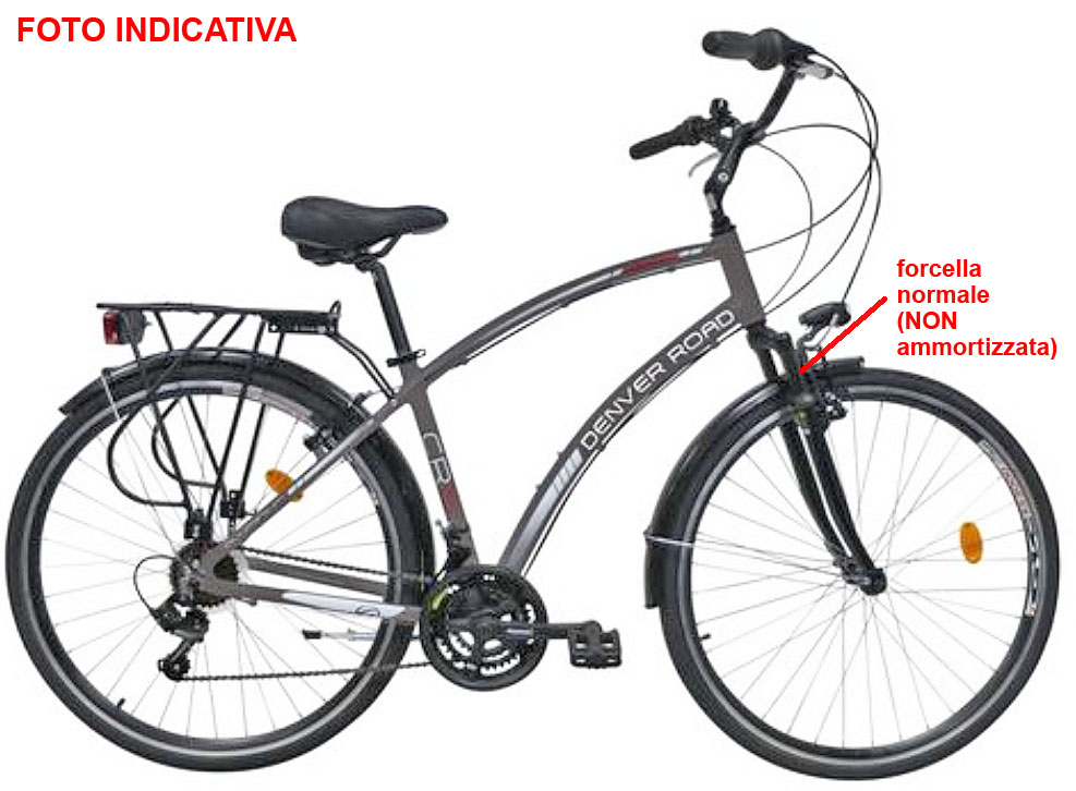 Bici Rubata 2017-05-23 | city bike Denver | ID: 1705231000 | Bologna
