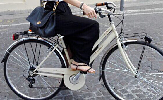 Bici Rubata 2017-12-01 | city bike Canellini | ID: 1712061211 | Bologna