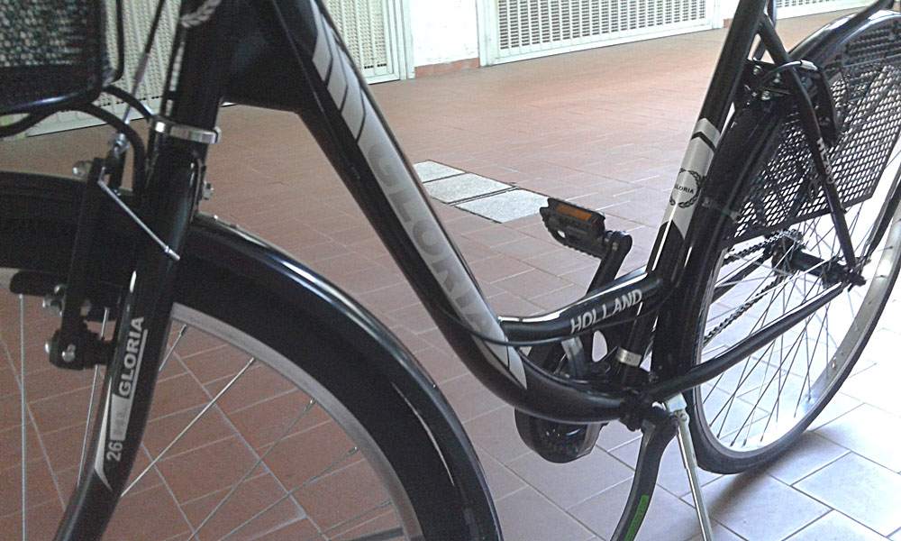 Bici Rubata 2017-08-22 | city bike Gloria | ID: 1801242205 | Bologna