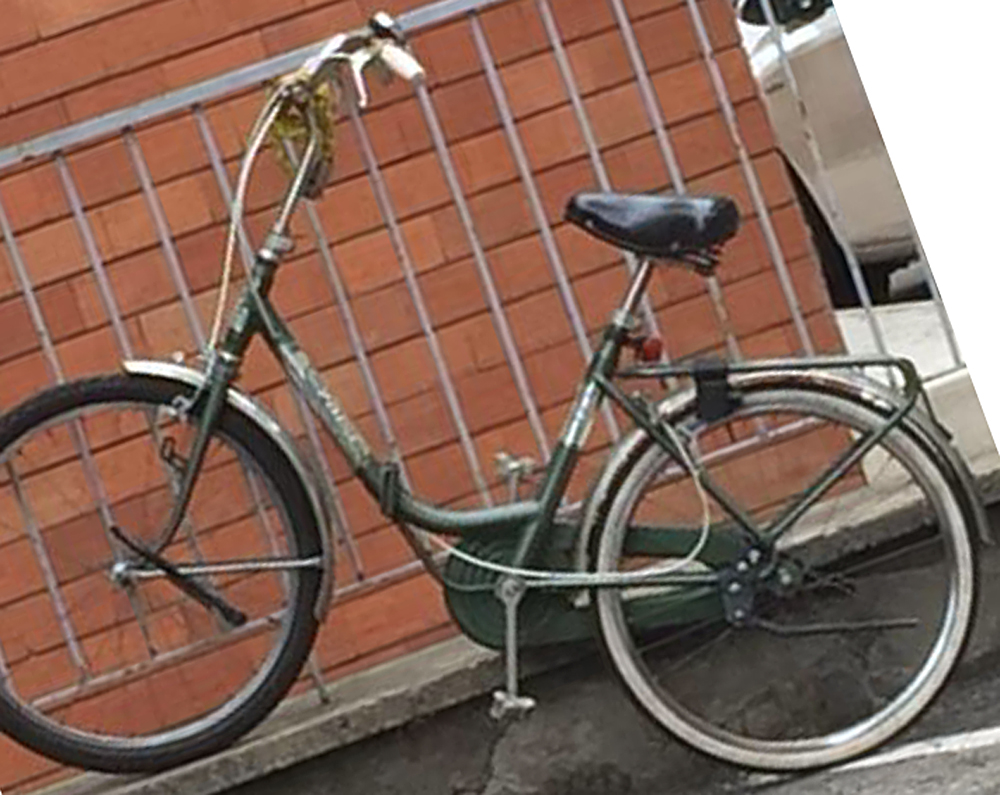 Bici Rubata 2018-05-13 | pieghevole Guizzardi | ID: 1805132332 | Bologna