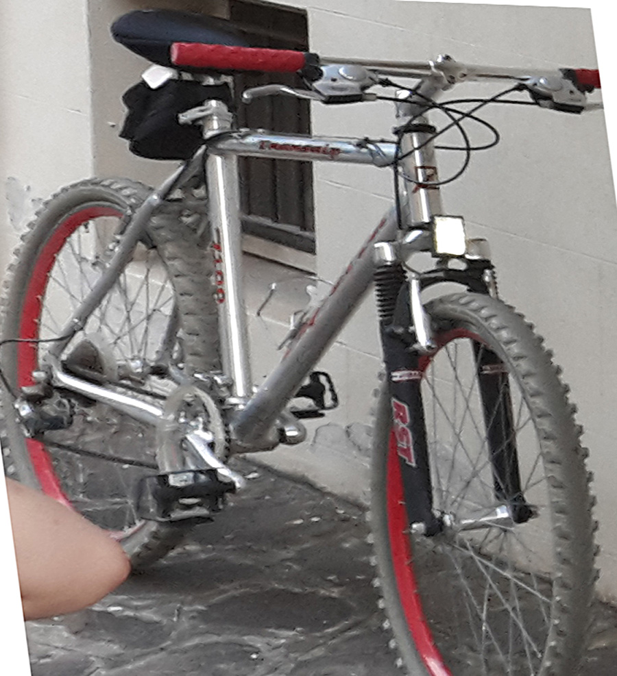 Bici Rubata 2018-06-16 | mtn bike Esperia | ID: 1808211630 | Bologna