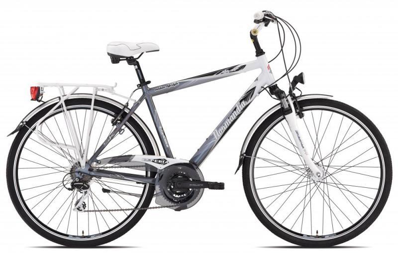 Bici Rubata 2019-07-09 | city bike Esperia | ID: 1907091148 | Bologna